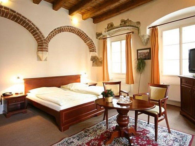 Hotel U Tri Bubnu Prag