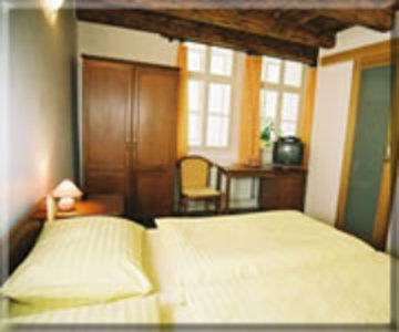 Hotel U Tri Bubnu Prag
